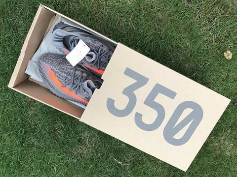 Adidas Yeezy 350 V2 “beluga"